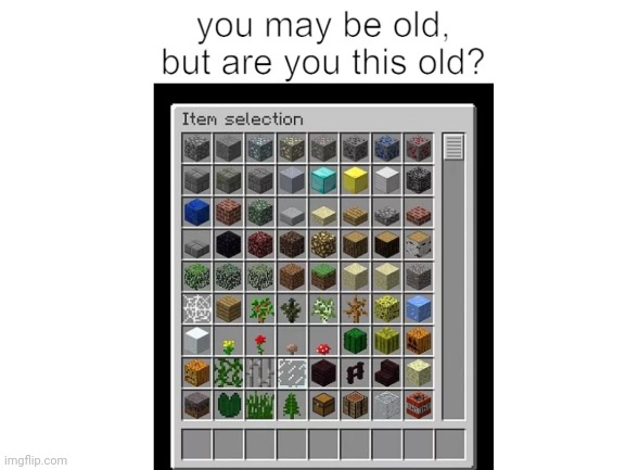 Answer me | image tagged in minecraft,old | made w/ Imgflip meme maker