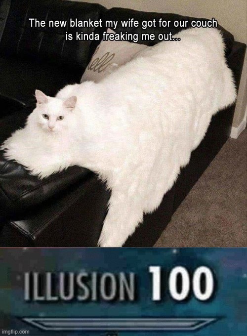 blancat | image tagged in illusion 100,cat,blanket | made w/ Imgflip meme maker