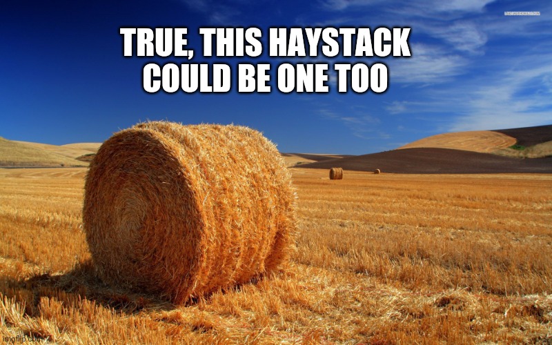 Haystack field | TRUE, THIS HAYSTACK COULD BE ONE TOO | image tagged in haystack field | made w/ Imgflip meme maker
