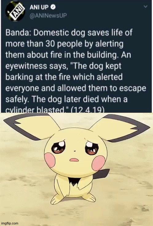 Press f for doggy | image tagged in sad pichu,memes,dogs,animals,wholesome,sad | made w/ Imgflip meme maker
