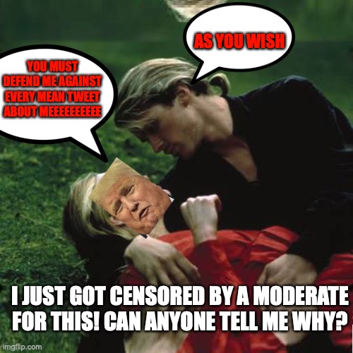 As you wish | AS YOU WISH; YOU MUST DEFEND ME AGAINST EVERY MEAN TWEET ABOUT MEEEEEEEEEE; I JUST GOT CENSORED BY A MODERATE FOR THIS! CAN ANYONE TELL ME WHY? | image tagged in as you wish | made w/ Imgflip meme maker