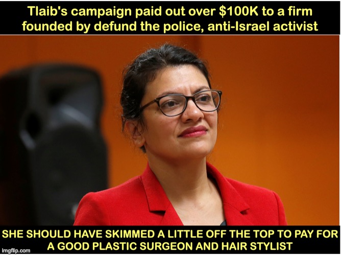 Tlaib's campaign | made w/ Imgflip meme maker