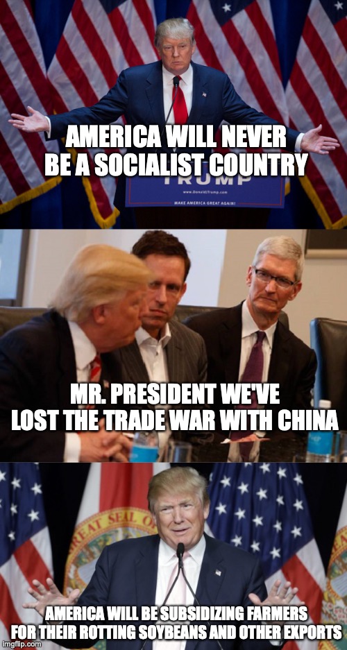 AMERICA WILL NEVER BE A SOCIALIST COUNTRY; MR. PRESIDENT WE'VE LOST THE TRADE WAR WITH CHINA; AMERICA WILL BE SUBSIDIZING FARMERS FOR THEIR ROTTING SOYBEANS AND OTHER EXPORTS | image tagged in donald trump,trump meeting,trump explains | made w/ Imgflip meme maker