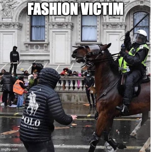 Fashion victim | FASHION VICTIM | image tagged in funny,funny memes,fun,funny meme,too funny | made w/ Imgflip meme maker