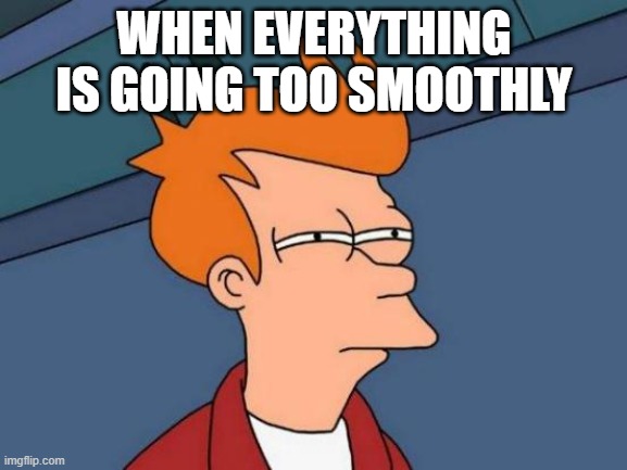 fry my guy | WHEN EVERYTHING IS GOING TOO SMOOTHLY | image tagged in memes,futurama fry | made w/ Imgflip meme maker