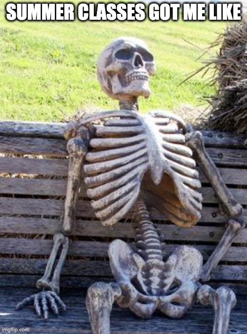 Waiting Skeleton Meme | SUMMER CLASSES GOT ME LIKE | image tagged in memes,waiting skeleton | made w/ Imgflip meme maker