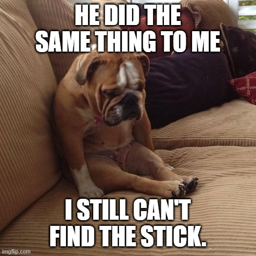 bulldogsad | HE DID THE SAME THING TO ME I STILL CAN'T FIND THE STICK. | image tagged in bulldogsad | made w/ Imgflip meme maker