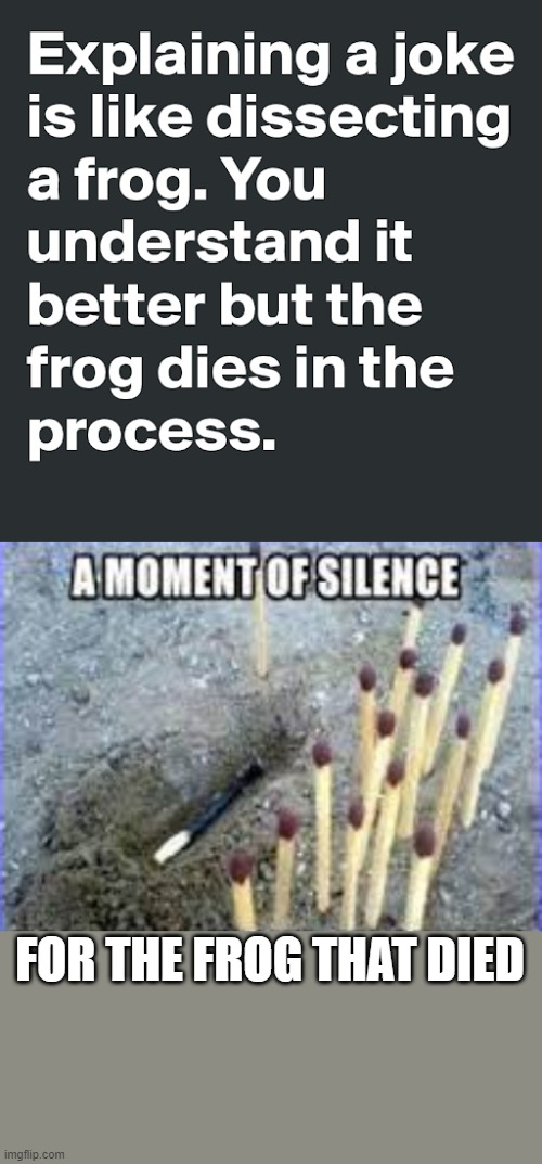 hope the frog is remembered | FOR THE FROG THAT DIED | image tagged in fun stuff,shit happens | made w/ Imgflip meme maker