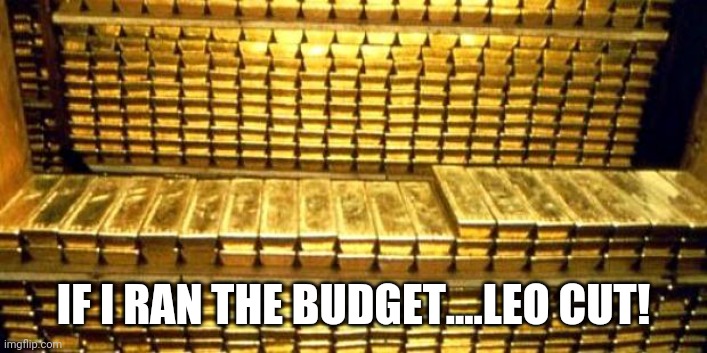 gold bars | IF I RAN THE BUDGET....LEO CUT! | image tagged in gold bars | made w/ Imgflip meme maker