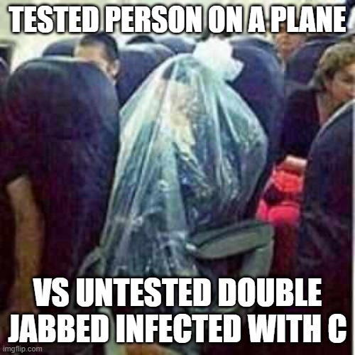 Safest person on the plane | TESTED PERSON ON A PLANE; VS UNTESTED DOUBLE JABBED INFECTED WITH C | image tagged in airplane,covid,coronavirus meme,passenger | made w/ Imgflip meme maker