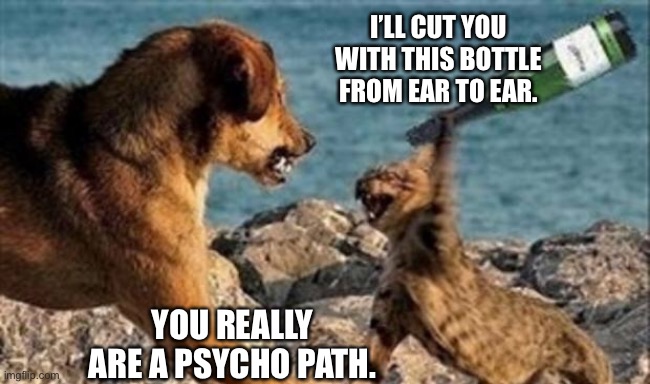 cat vs. dog | I’LL CUT YOU WITH THIS BOTTLE FROM EAR TO EAR. YOU REALLY ARE A PSYCHO PATH. | image tagged in cat vs dog | made w/ Imgflip meme maker