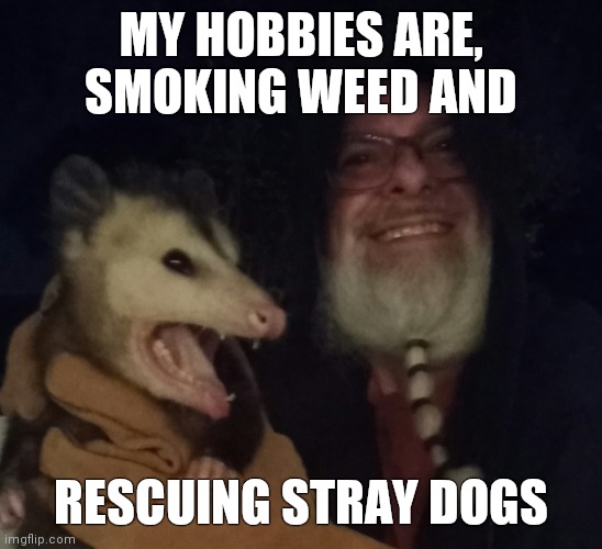 Mean dog | MY HOBBIES ARE, SMOKING WEED AND; RESCUING STRAY DOGS | image tagged in dogs,funny,smoke weed | made w/ Imgflip meme maker