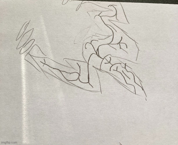 (Yes this is the myth) You see this fly above you in the forest wdyd | made w/ Imgflip meme maker