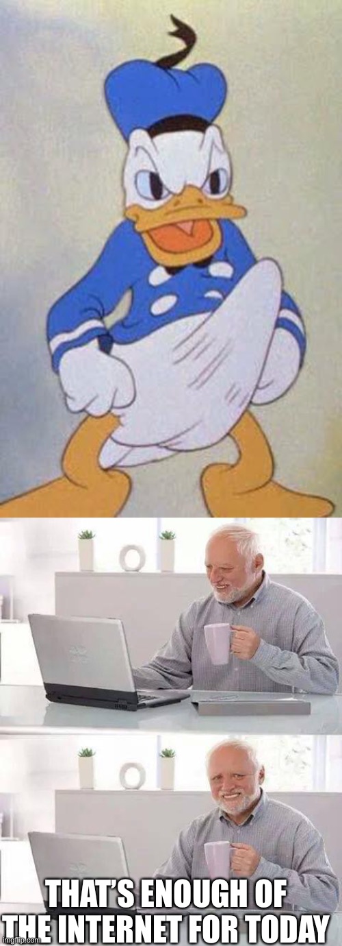 No | THAT’S ENOUGH OF THE INTERNET FOR TODAY | image tagged in horny donald duck,memes,hide the pain harold | made w/ Imgflip meme maker