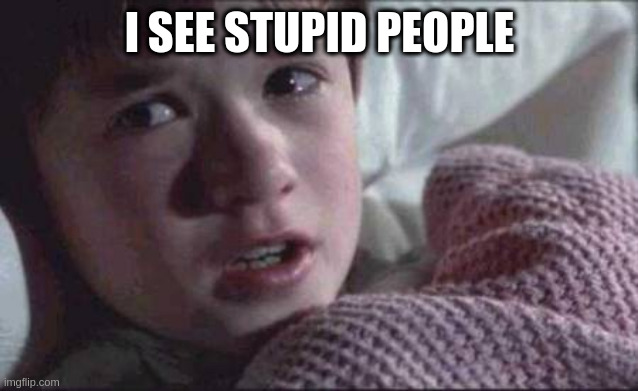 Why did you unsubscribe from politics? | I SEE STUPID PEOPLE | image tagged in memes,i see dead people | made w/ Imgflip meme maker