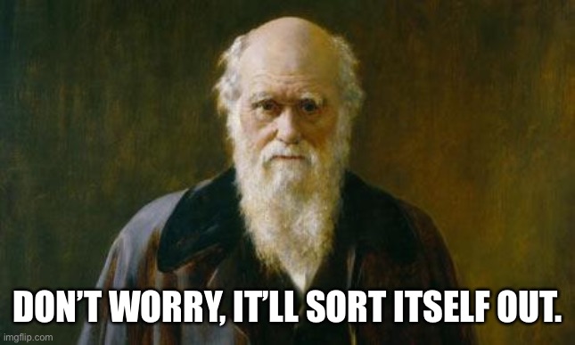 Charles Darwin | DON’T WORRY, IT’LL SORT ITSELF OUT. | image tagged in charles darwin | made w/ Imgflip meme maker