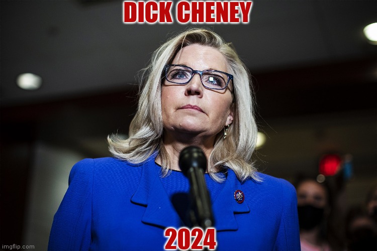 Dick Cheney for president | DICK CHENEY; 2024 | image tagged in dick cheney,dumb blonde | made w/ Imgflip meme maker