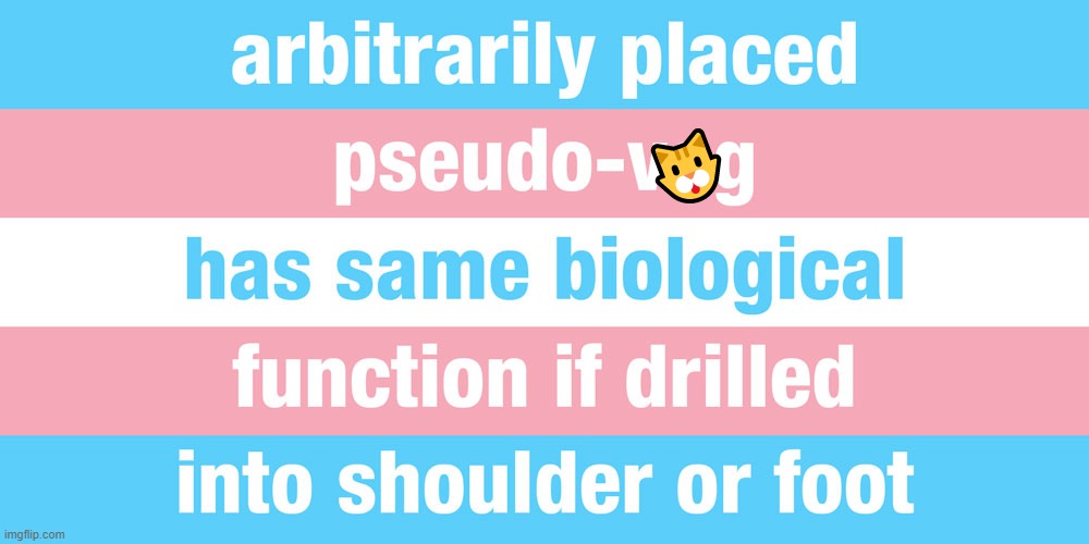 We women are more than just our "parts," but you kinda need them to even be a woman. | 🐱 | made w/ Imgflip meme maker