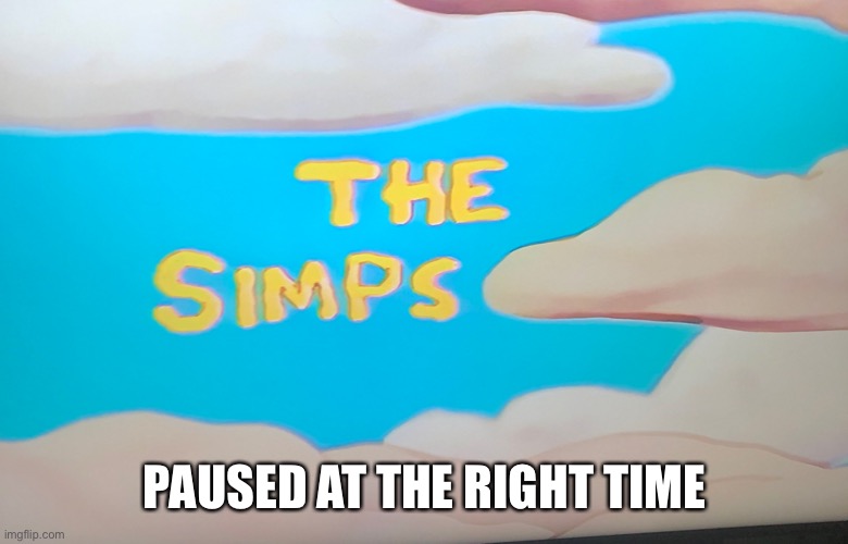 The Simps | PAUSED AT THE RIGHT TIME | image tagged in the simps | made w/ Imgflip meme maker