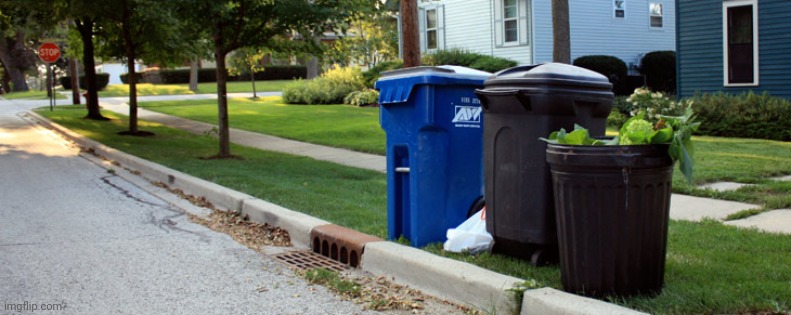 Trashcan Me | image tagged in trashcan me | made w/ Imgflip meme maker