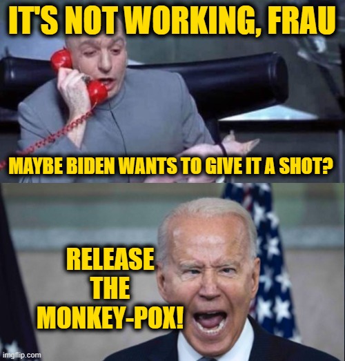 Dr Evil and Joe | IT'S NOT WORKING, FRAU MAYBE BIDEN WANTS TO GIVE IT A SHOT? RELEASE THE MONKEY-POX! | image tagged in dr evil and joe | made w/ Imgflip meme maker