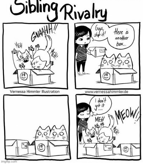 this is 100% accurate | image tagged in comics/cartoons,sibling rivalry,funny,accurate,relatable,selfish | made w/ Imgflip meme maker
