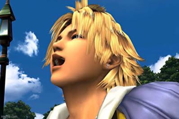 Just a laugh | image tagged in tidus laugh | made w/ Imgflip meme maker