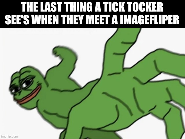 pepe punch | THE LAST THING A TICK TOCKER SEE'S WHEN THEY MEET A IMAGEFLIPER | image tagged in pepe punch | made w/ Imgflip meme maker