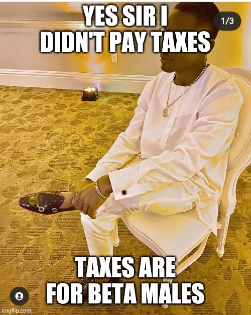 Critical thinking | YES SIR I DIDN'T PAY TAXES; TAXES ARE FOR BETA MALES | image tagged in funny | made w/ Imgflip meme maker