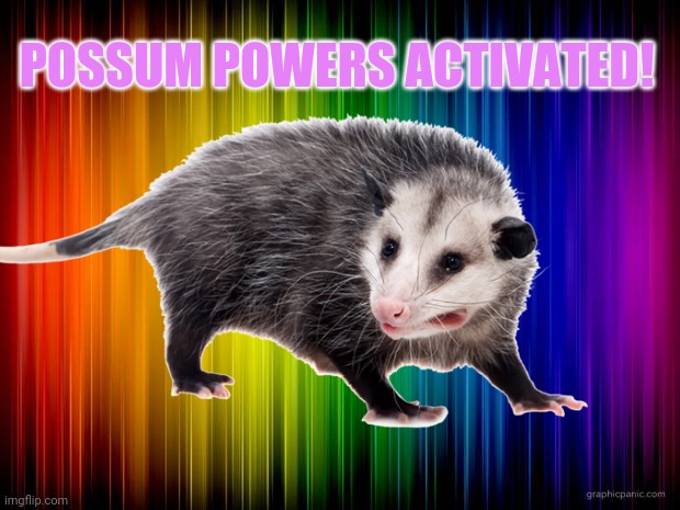 POSSUM POWERS ACTIVATED! | made w/ Imgflip meme maker