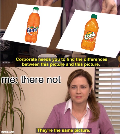 They're The Same Picture Meme | me: there not | image tagged in memes,they're the same picture | made w/ Imgflip meme maker