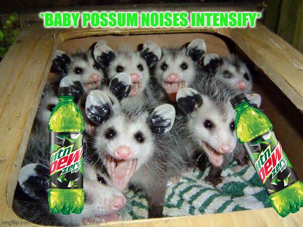 Possums sell you Mtn Dew | *BABY POSSUM NOISES INTENSIFY* | image tagged in possum baby,possum,mountain dew,drink,suck it down | made w/ Imgflip meme maker