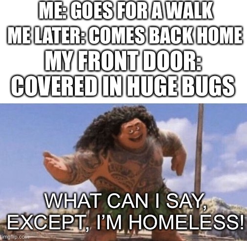 What Can I Say Except X? | ME: GOES FOR A WALK; ME LATER: COMES BACK HOME; MY FRONT DOOR: COVERED IN HUGE BUGS; WHAT CAN I SAY, EXCEPT, I’M HOMELESS! | image tagged in what can i say except x,memes,bugs | made w/ Imgflip meme maker