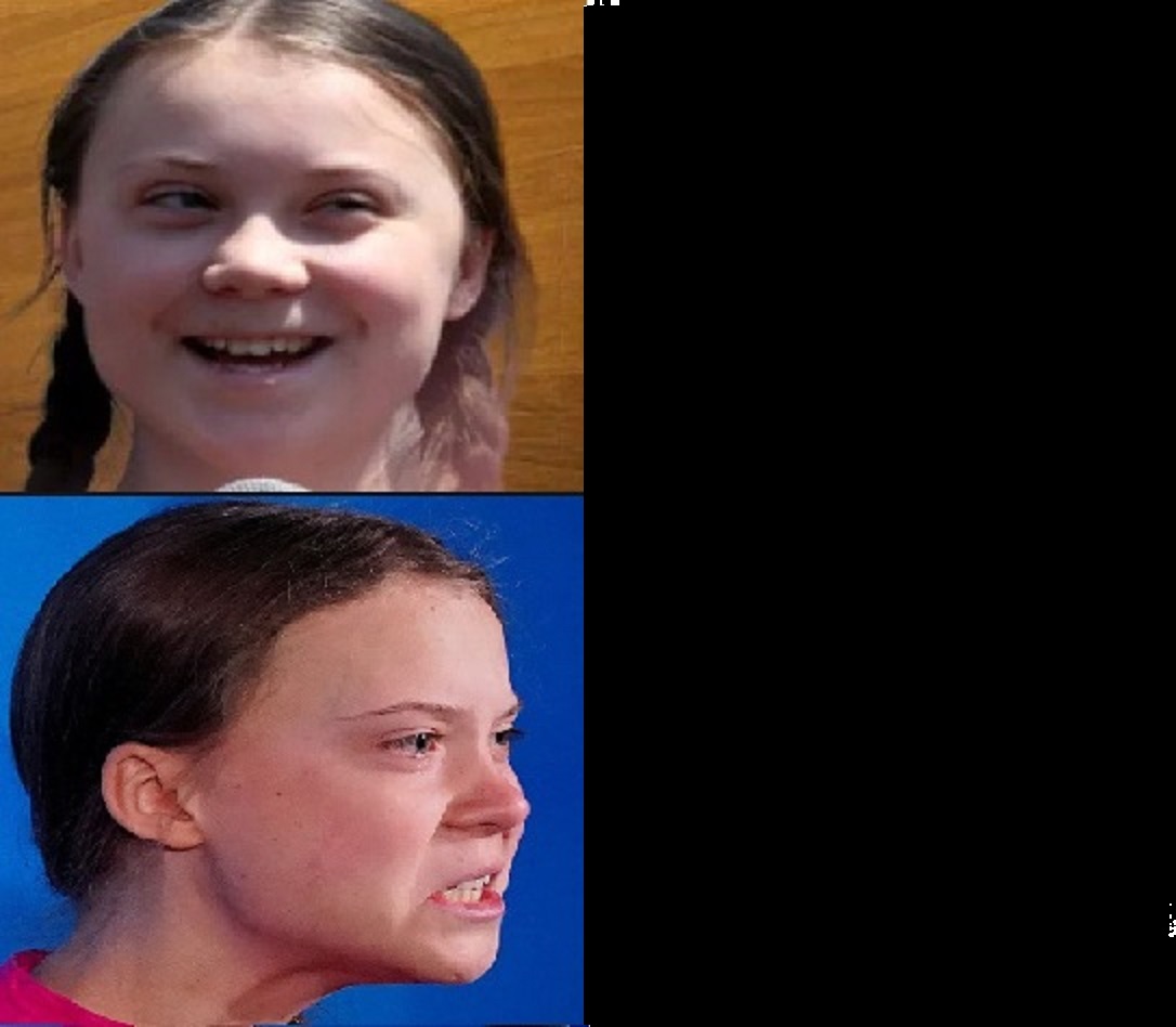 greta template Blank Meme Template