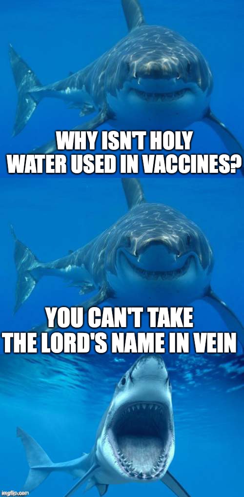In Vein | WHY ISN'T HOLY WATER USED IN VACCINES? YOU CAN'T TAKE THE LORD'S NAME IN VEIN | image tagged in bad shark pun | made w/ Imgflip meme maker