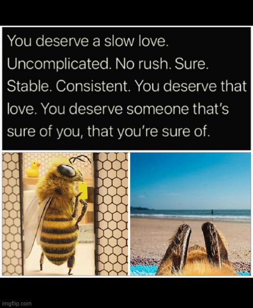 Slow love | image tagged in i love you,bees | made w/ Imgflip meme maker