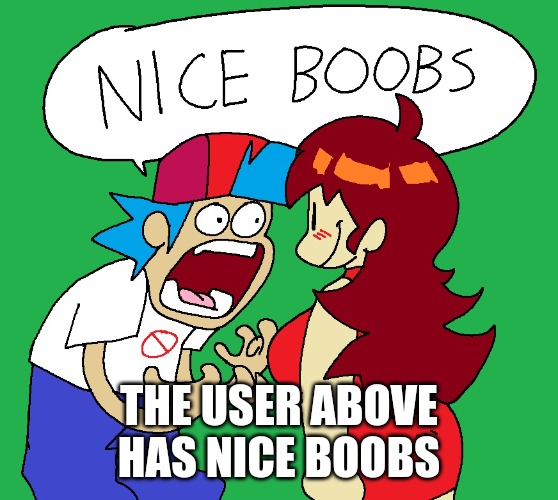 Nice boobs | THE USER ABOVE HAS NICE BOOBS | image tagged in nice boobs | made w/ Imgflip meme maker