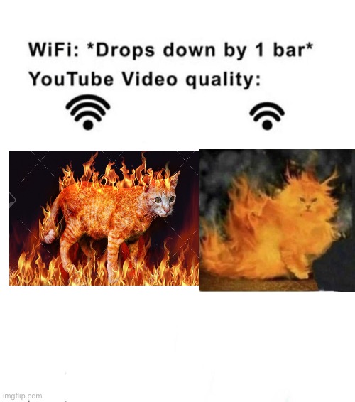 Fire cats | image tagged in wifi drops by 1 bar | made w/ Imgflip meme maker