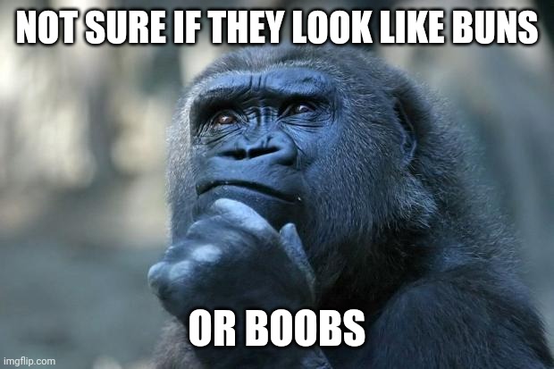 Deep Thoughts | NOT SURE IF THEY LOOK LIKE BUNS OR BOOBS | image tagged in deep thoughts | made w/ Imgflip meme maker