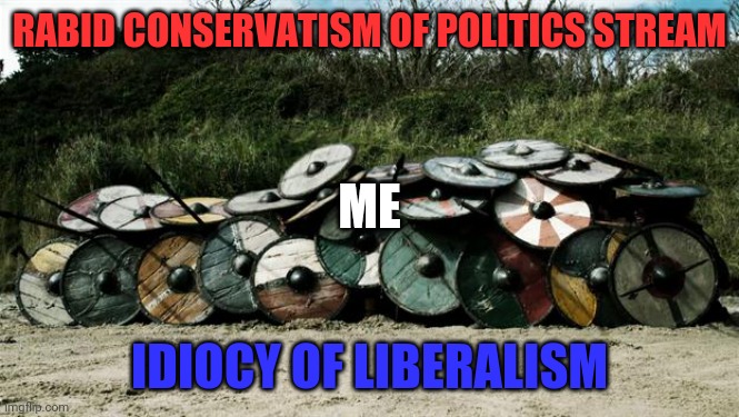 Don't disagree with you all, you're just getting extreme | RABID CONSERVATISM OF POLITICS STREAM; ME; IDIOCY OF LIBERALISM | image tagged in shield wall | made w/ Imgflip meme maker
