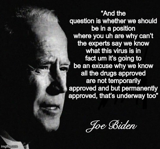 And this translation is much better than the audio. | “And the question is whether we should be in a position where you uh are why can’t the experts say we know what this virus is in fact um it’s going to be an excuse why we know all the drugs approved are not temporarily approved and but permanently approved, that’s underway too”; Joe Biden | image tagged in joe exotic,politics lol,memes | made w/ Imgflip meme maker