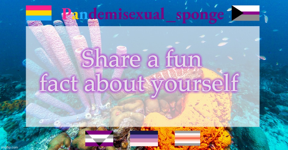 A pet peeve of mine is a messy room | Share a fun fact about yourself | image tagged in pandemisexual_sponge temp,demisexual_sponge | made w/ Imgflip meme maker