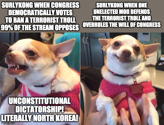 I respect SurlyKong in many ways, but I can't say I understand his logic here. | SURLYKONG WHEN CONGRESS DEMOCRATICALLY VOTES TO BAN A TERRORIST TROLL 99% OF THE STREAM OPPOSES; SURLYKONG WHEN ONE UNELECTED MOD DEFENDS THE TERRORIST TROLL AND OVERRULES THE WILL OF CONGRESS; UNCONSTITUTIONAL DICTATORSHIP! LITERALLY NORTH KOREA! | image tagged in hypocrisy,memes,politics,double standards,congress | made w/ Imgflip meme maker