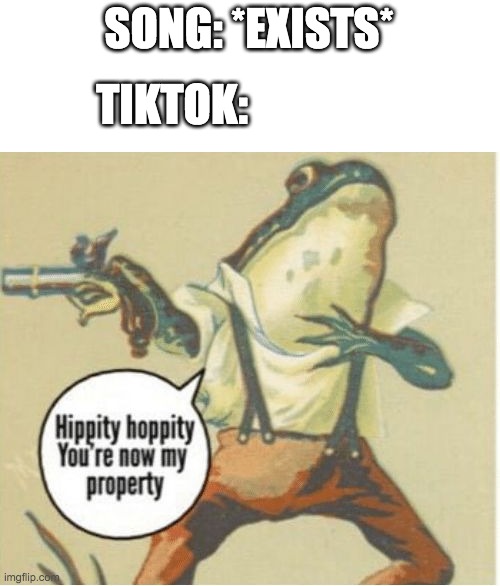Tiktok in a nutshell: | SONG: *EXISTS*; TIKTOK: | image tagged in hippity hoppity you're now my property | made w/ Imgflip meme maker