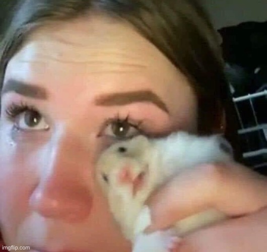 girl crying with hamster | image tagged in girl crying with hamster | made w/ Imgflip meme maker
