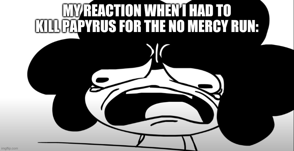 Sr Pelo crying | MY REACTION WHEN I HAD TO KILL PAPYRUS FOR THE NO MERCY RUN: | image tagged in sr pelo crying | made w/ Imgflip meme maker