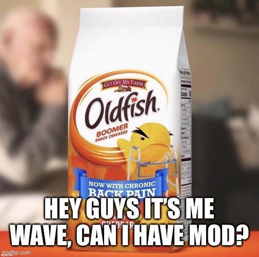 He | HEY GUYS IT’S ME WAVE, CAN I HAVE MOD? | image tagged in he | made w/ Imgflip meme maker