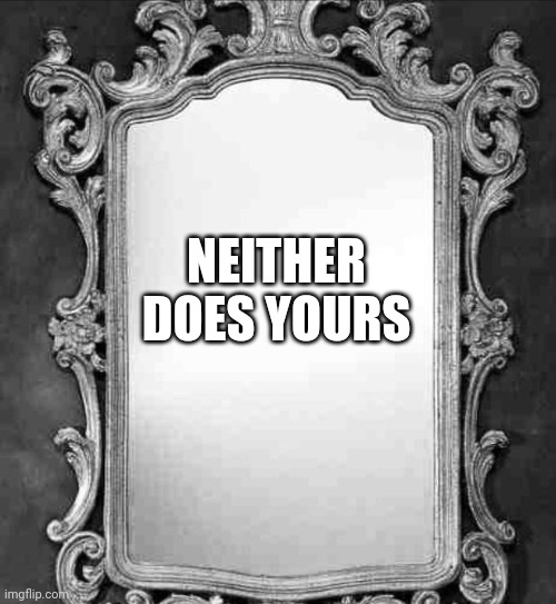 Mirror | NEITHER DOES YOURS | image tagged in mirror | made w/ Imgflip meme maker