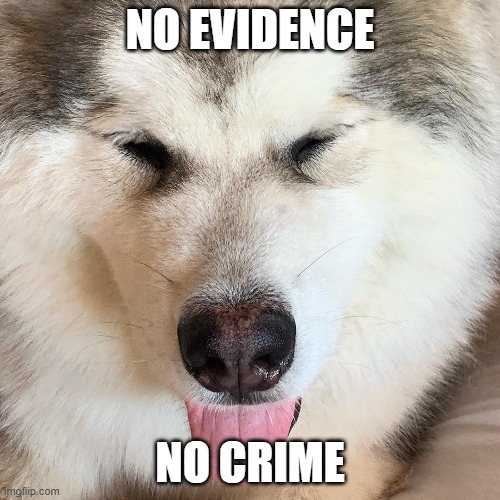innocent | NO EVIDENCE; NO CRIME | image tagged in dog | made w/ Imgflip meme maker