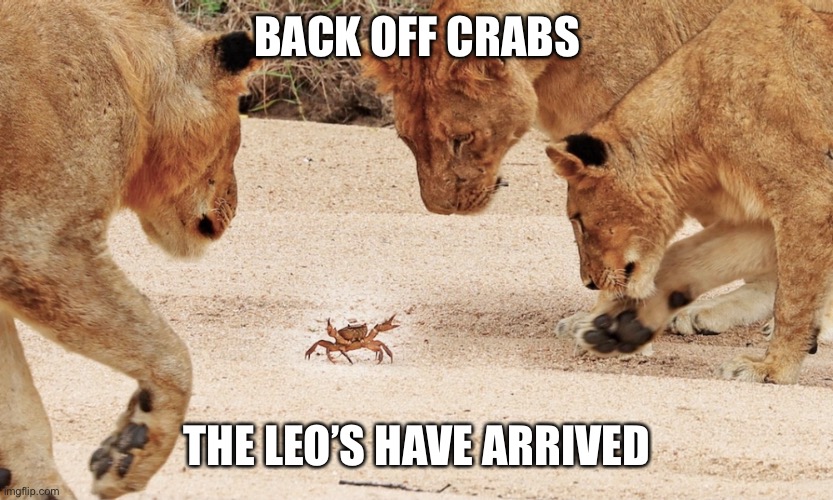 Leo’s | BACK OFF CRABS; THE LEO’S HAVE ARRIVED | image tagged in zodiac | made w/ Imgflip meme maker